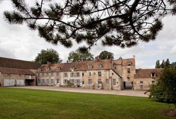 Les pommiers dans le verger de gally