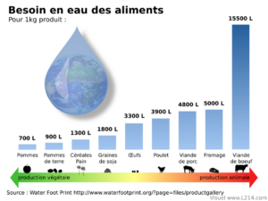 Empreinte carbone : puis-je continuer à manger des bananes