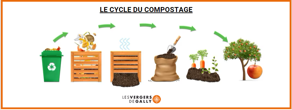 Cycle du compostage